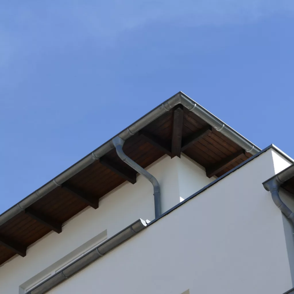 Chéneau en cours de remplacement